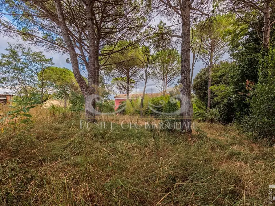 Immagine 8 di Casa indipendente in vendita  a Fauglia