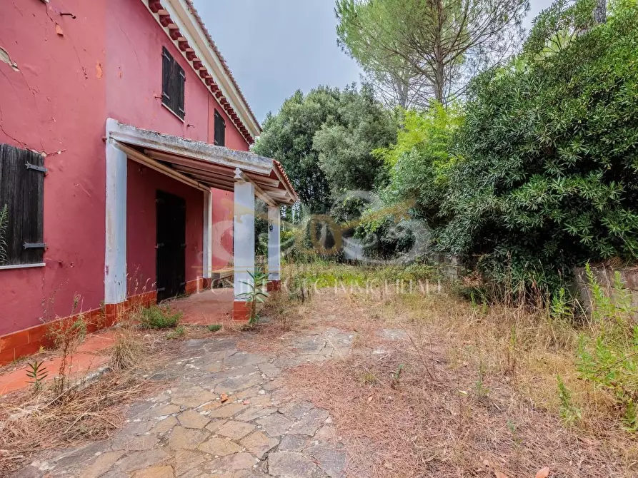 Immagine 15 di Casa indipendente in vendita  a Fauglia