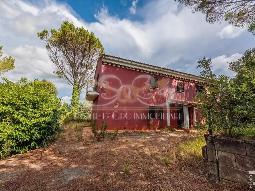 Immagine 6 di Casa indipendente in vendita  a Fauglia