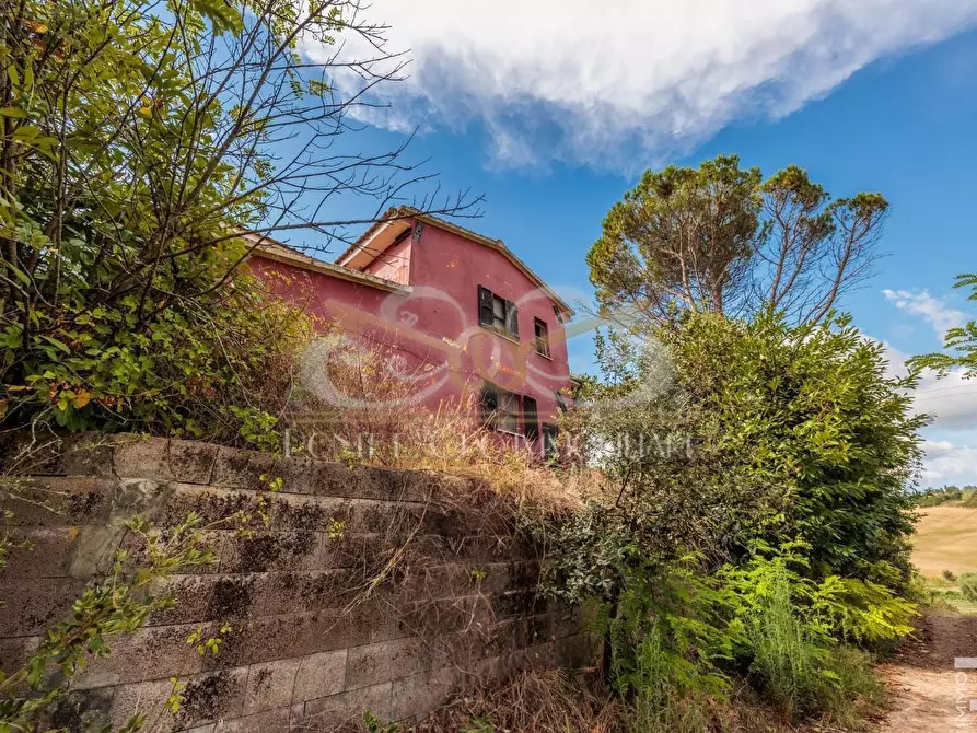 Immagine 2 di Casa indipendente in vendita  a Fauglia