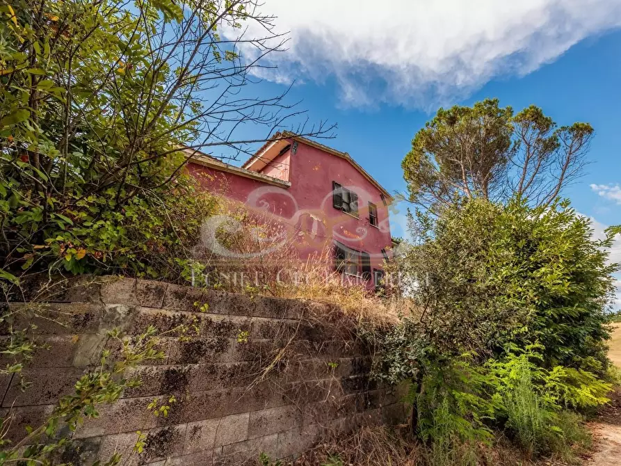 Immagine 12 di Casa indipendente in vendita  a Fauglia