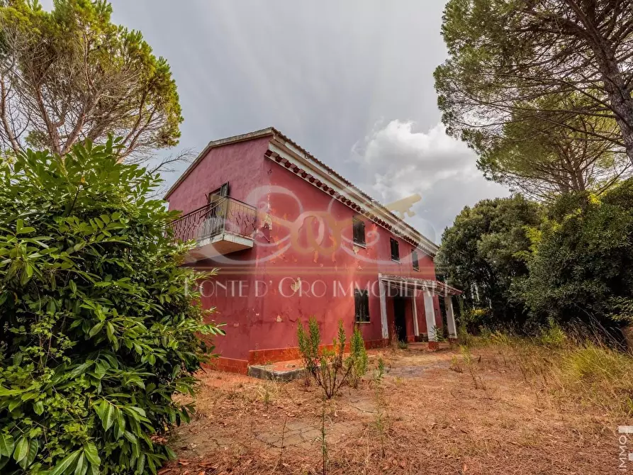 Immagine 3 di Casa indipendente in vendita  a Fauglia