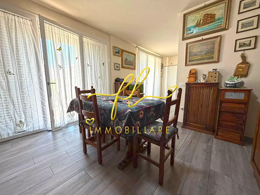 Immagine 19 di Appartamento in vendita  a Montescudaio