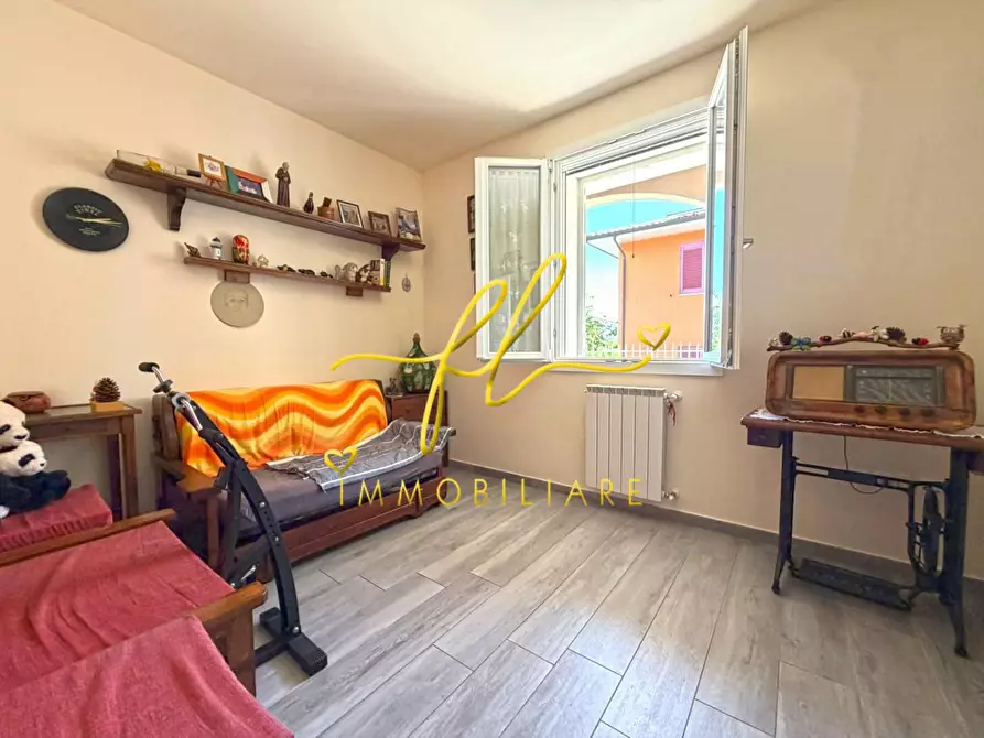 Immagine 32 di Appartamento in vendita  a Montescudaio