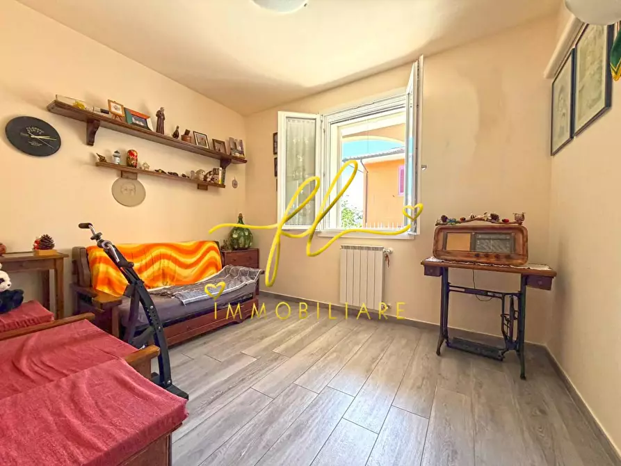 Immagine 33 di Appartamento in vendita  a Montescudaio