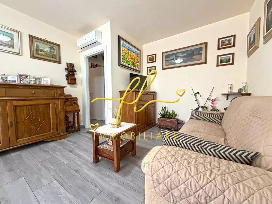 Immagine 14 di Appartamento in vendita  a Montescudaio