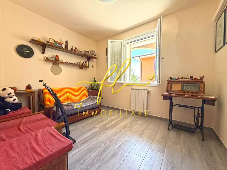 Immagine 34 di Appartamento in vendita  a Montescudaio