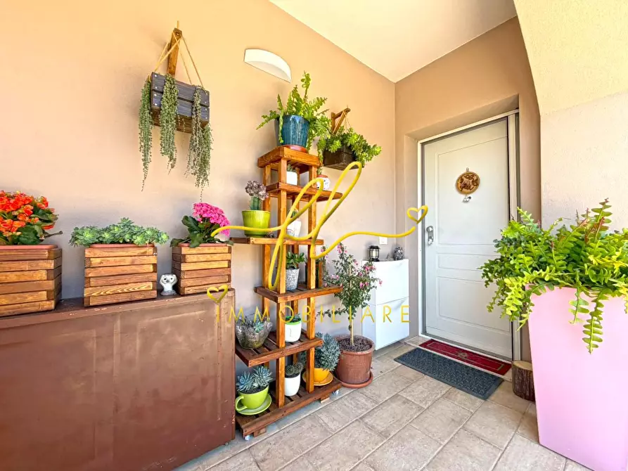 Immagine 11 di Appartamento in vendita  a Montescudaio