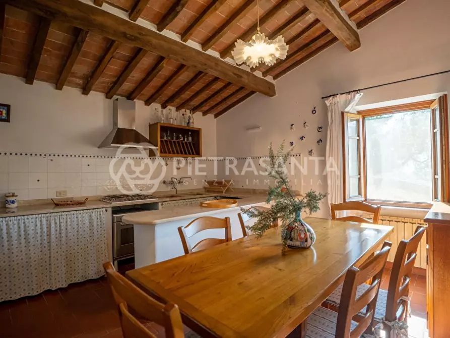 Immagine 12 di Casa colonica in vendita  a Pietrasanta