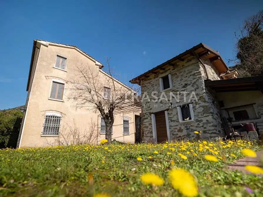 Immagine 3 di Casa colonica in vendita  a Pietrasanta
