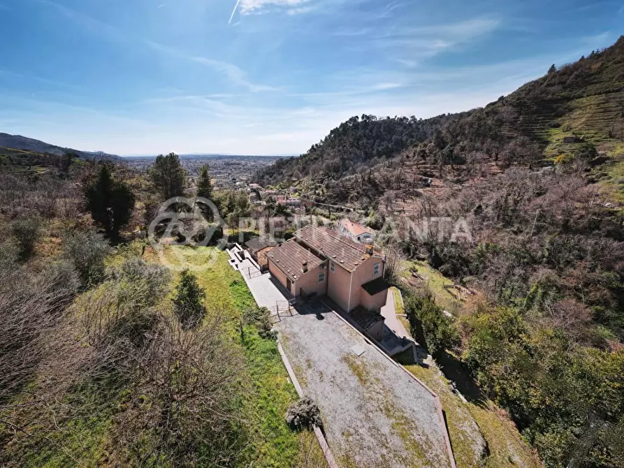 Immagine 9 di Casa colonica in vendita  a Pietrasanta