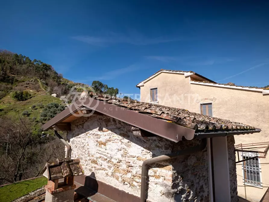 Immagine 6 di Casa colonica in vendita  a Pietrasanta