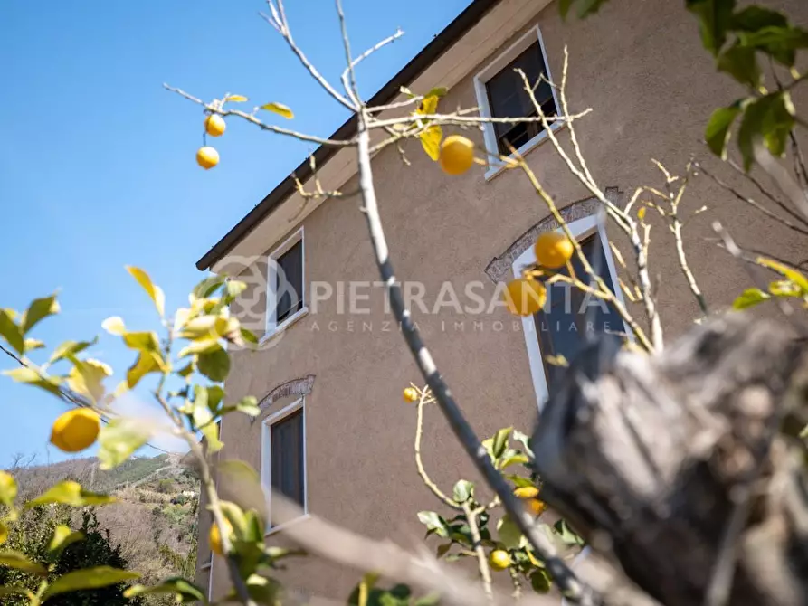 Immagine 1 di Casa colonica in vendita  a Pietrasanta
