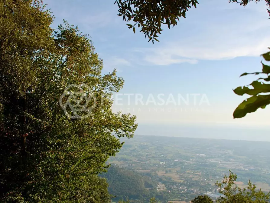 Immagine 5 di Villa in vendita  a Pietrasanta