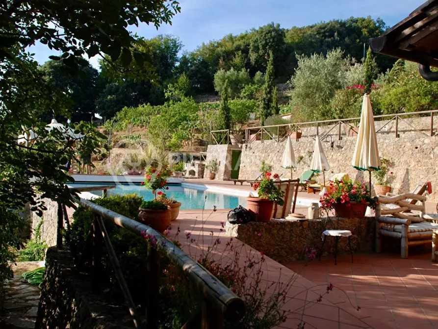 Immagine 6 di Villa in vendita  a Pietrasanta