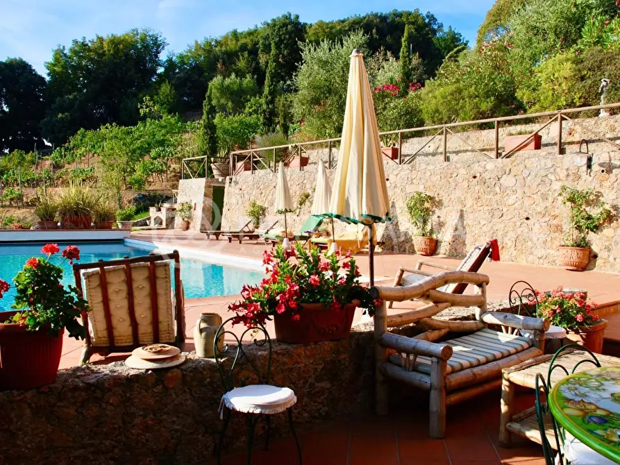 Immagine 8 di Villa in vendita  a Pietrasanta