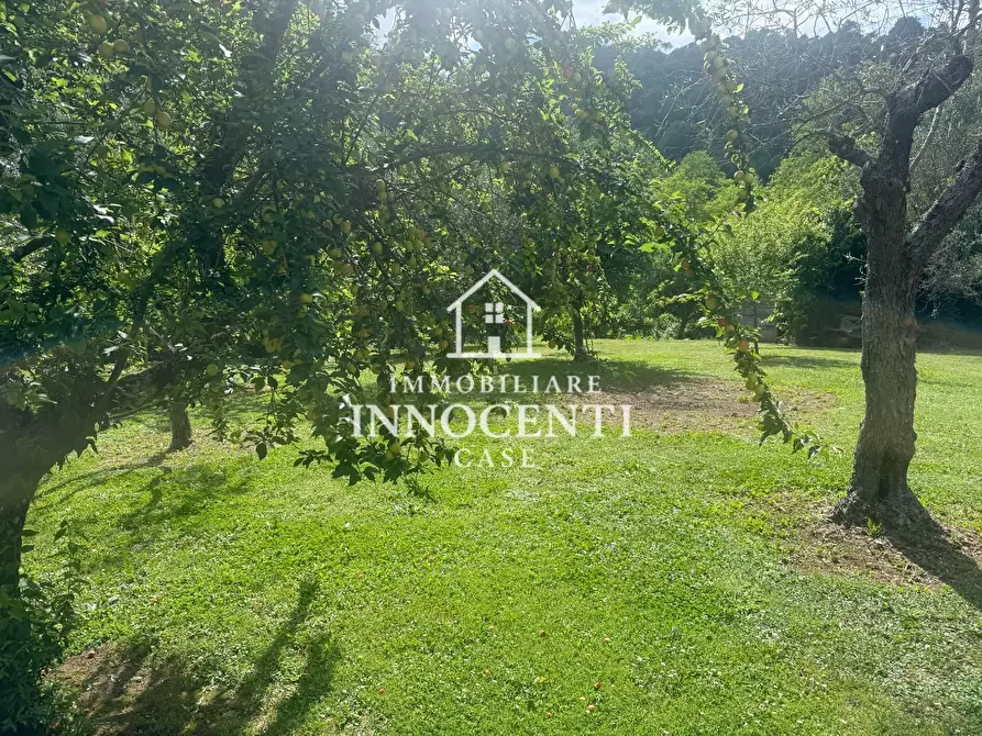 Immagine 19 di Villa in vendita  a Massa