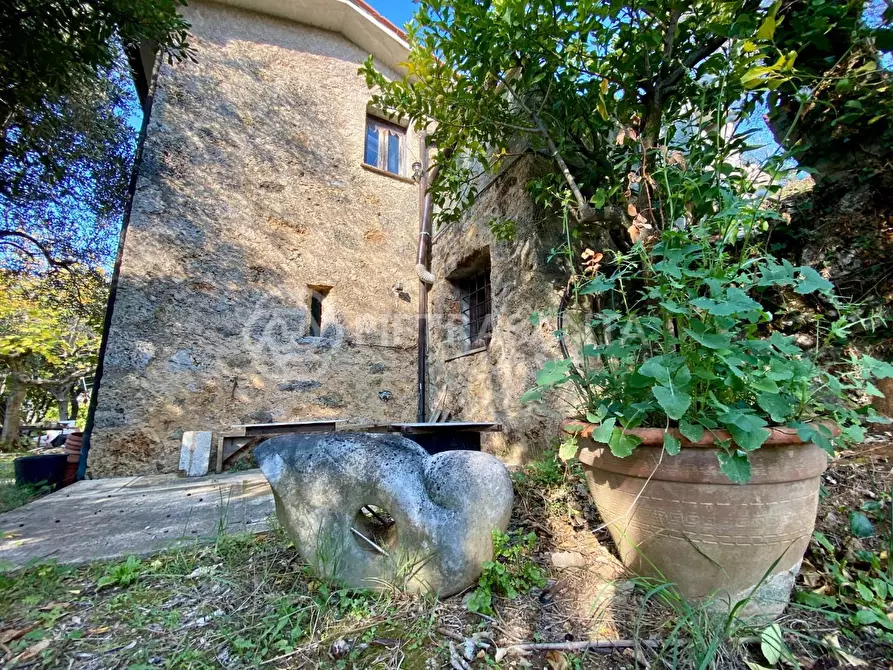 Immagine 4 di Rustico / casale in vendita  a Pietrasanta