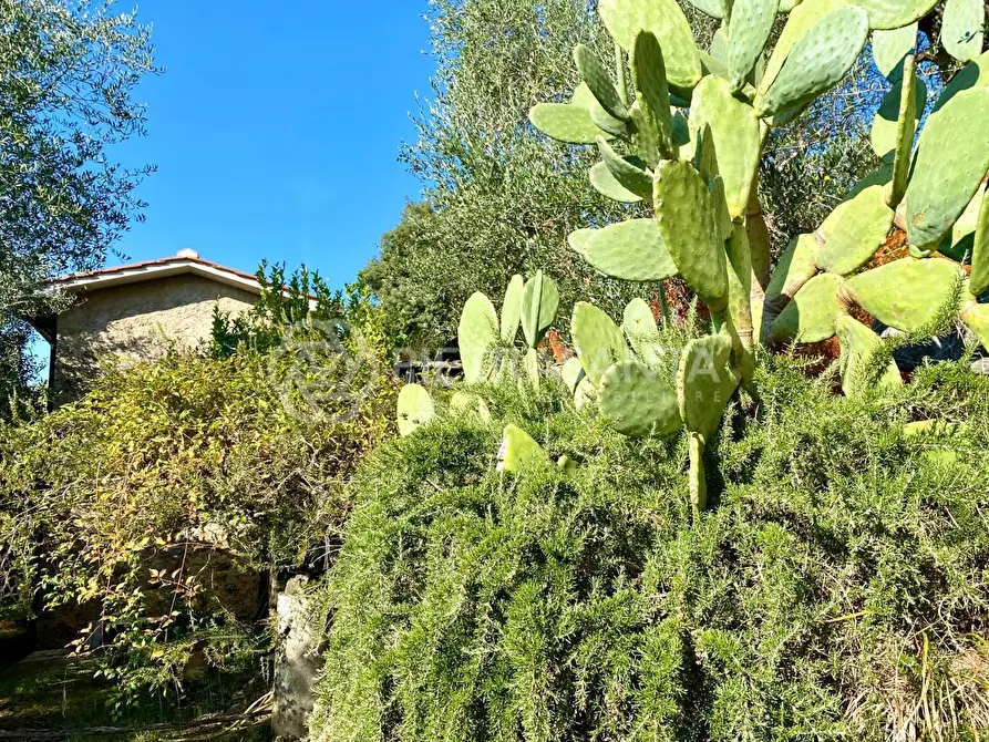 Immagine 12 di Rustico / casale in vendita  a Pietrasanta