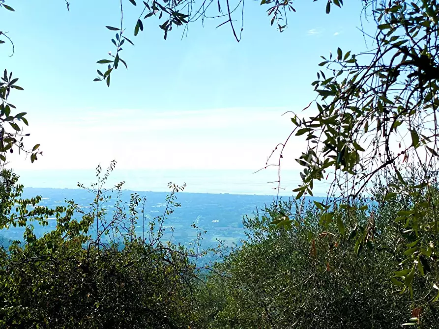 Immagine 13 di Rustico / casale in vendita  a Pietrasanta