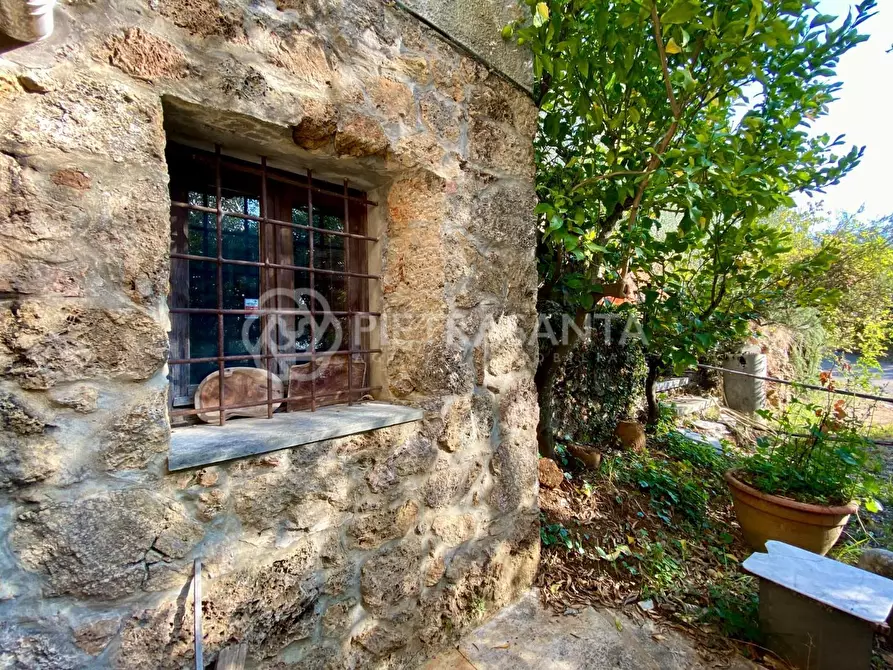 Immagine 8 di Rustico / casale in vendita  a Pietrasanta