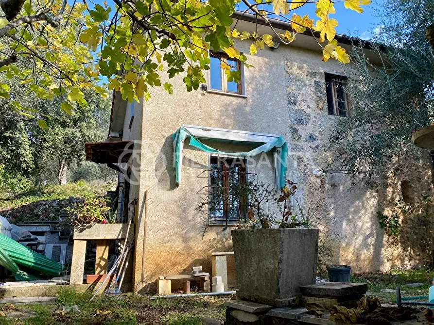 Immagine 5 di Rustico / casale in vendita  a Pietrasanta