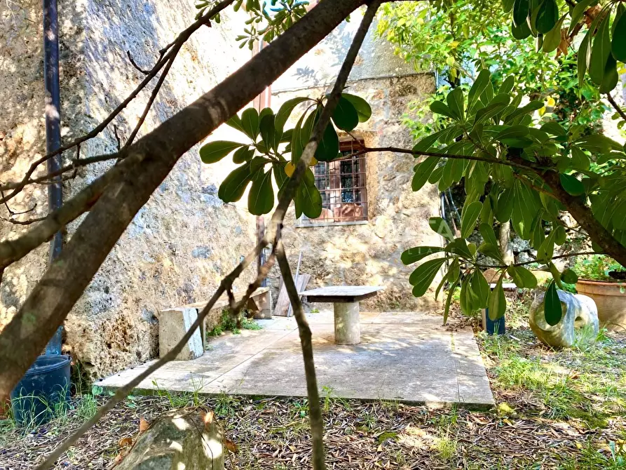 Immagine 11 di Rustico / casale in vendita  a Pietrasanta