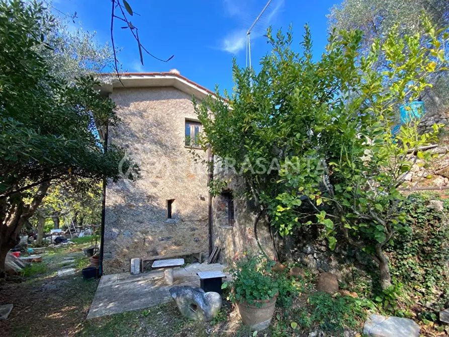 Immagine 3 di Rustico / casale in vendita  a Pietrasanta