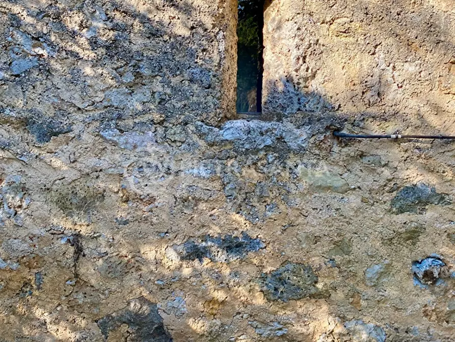 Immagine 7 di Rustico / casale in vendita  a Pietrasanta