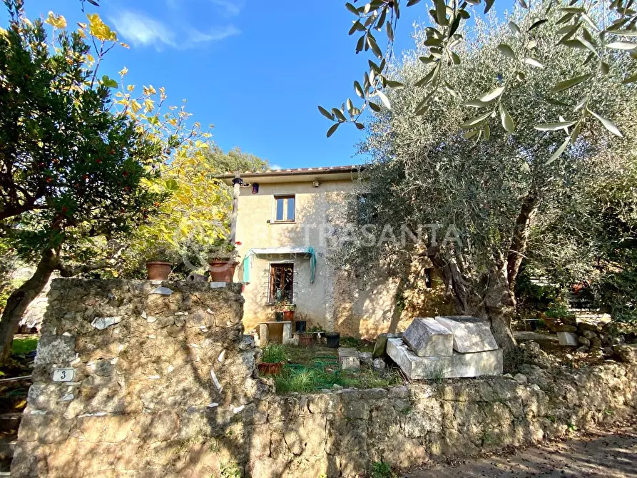 Immagine 6 di Rustico / casale in vendita  a Pietrasanta