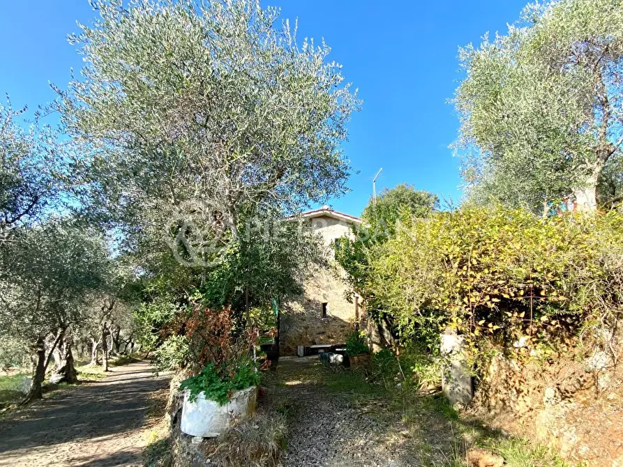 Immagine 2 di Rustico / casale in vendita  a Pietrasanta