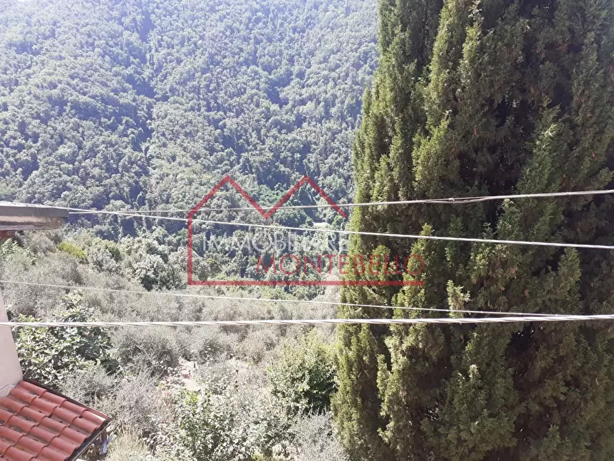 Immagine 15 di Rustico / casale in vendita  a Camaiore
