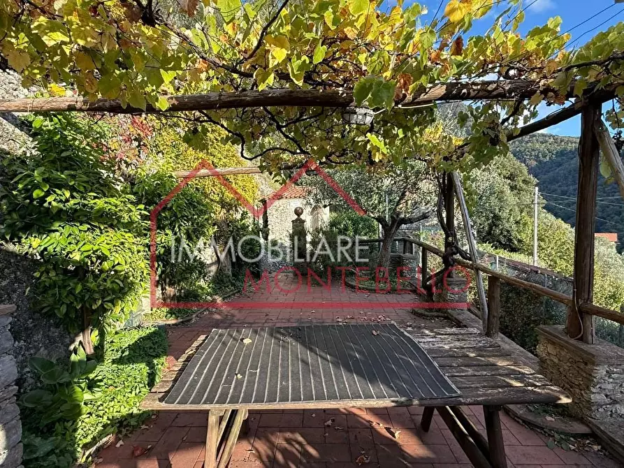 Immagine 5 di Rustico / casale in vendita  a Camaiore