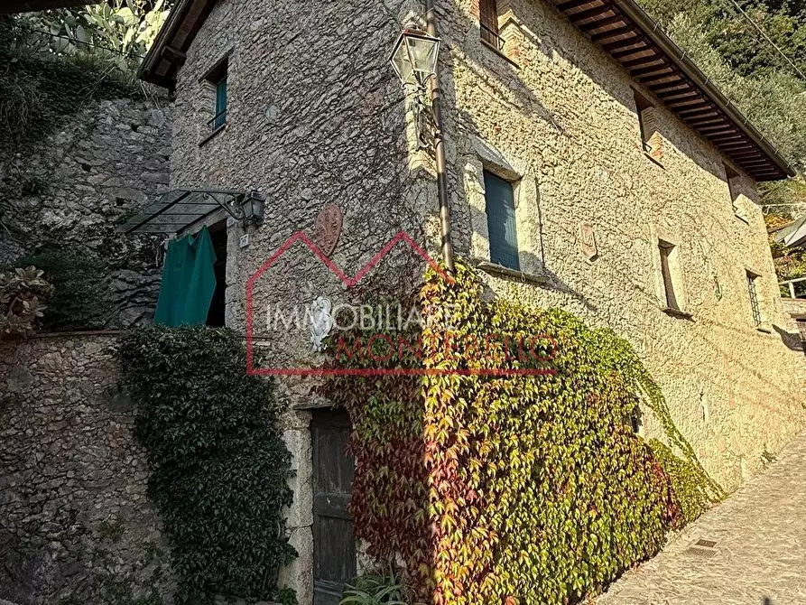 Immagine 7 di Rustico / casale in vendita  a Camaiore