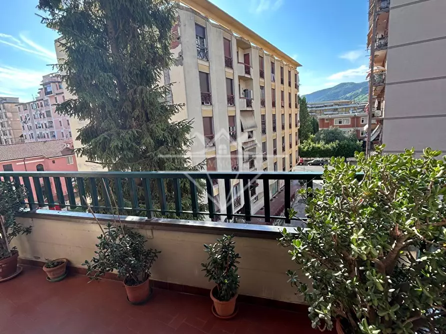 Immagine 3 di Appartamento in vendita  a Massa