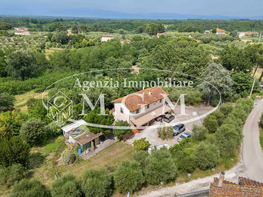 Immagine 9 di Casa indipendente in vendita  a Santa Maria A Monte