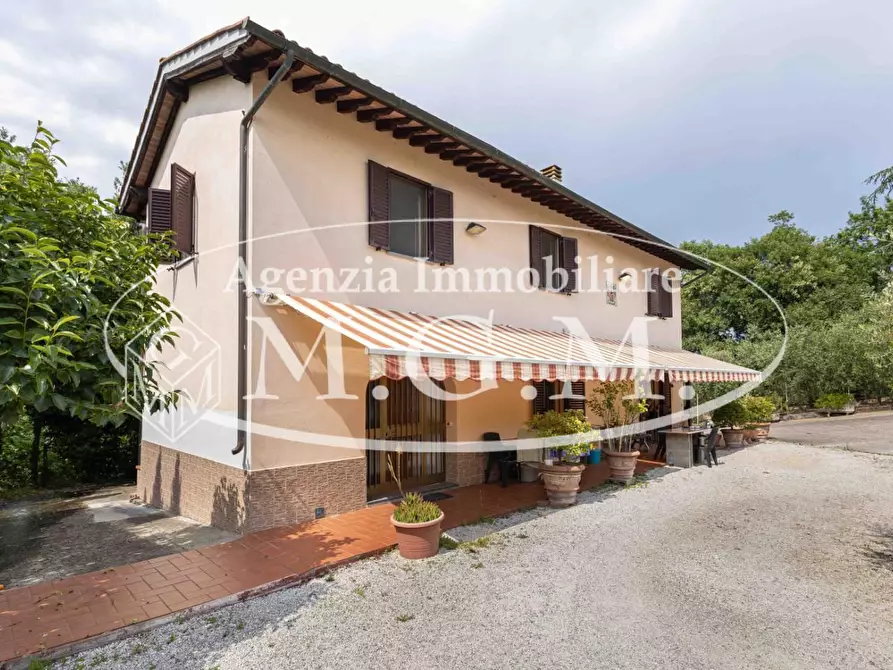 Immagine 3 di Casa indipendente in vendita  a Santa Maria A Monte