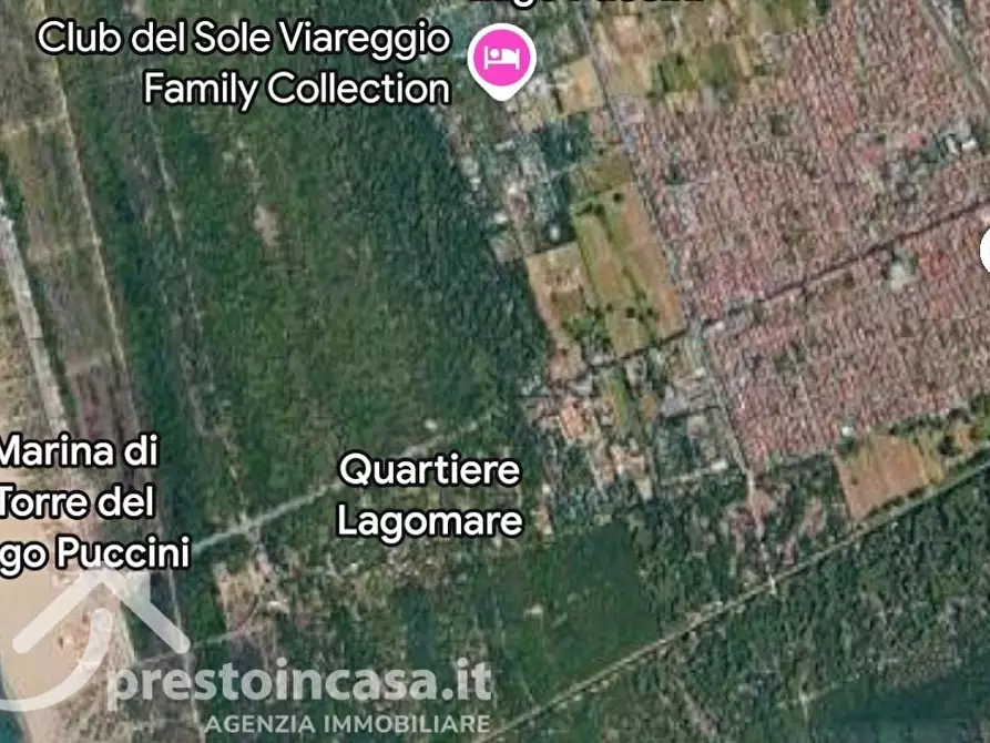 Immagine 17 di Casa quadrifamiliare in vendita  a Viareggio