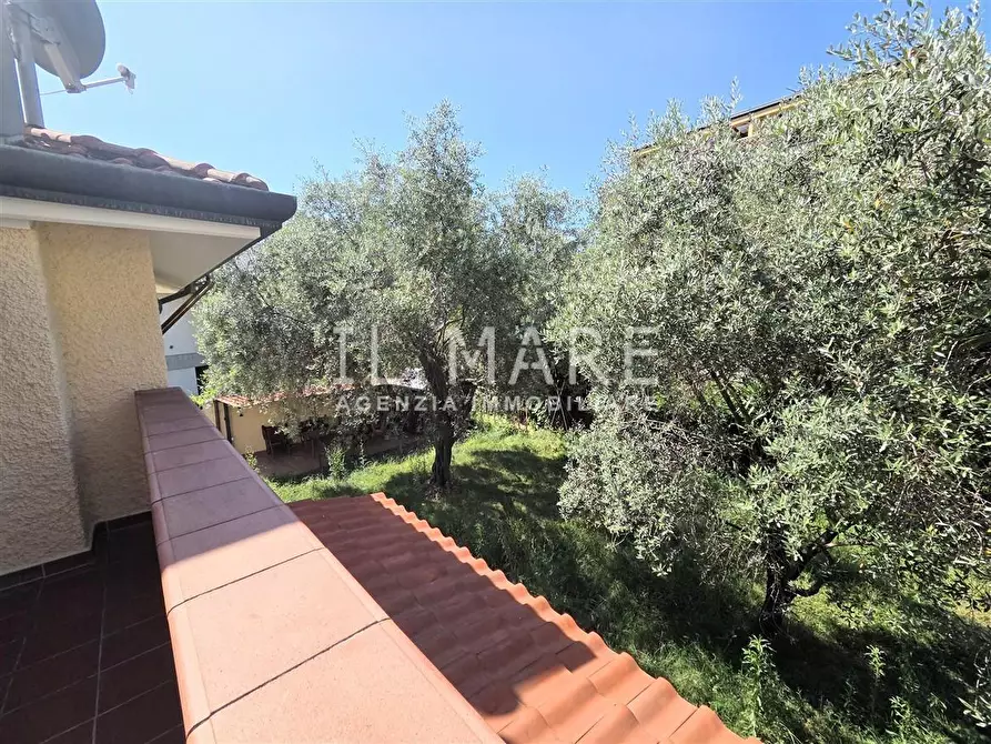 Immagine 41 di Villa in vendita  a Massa