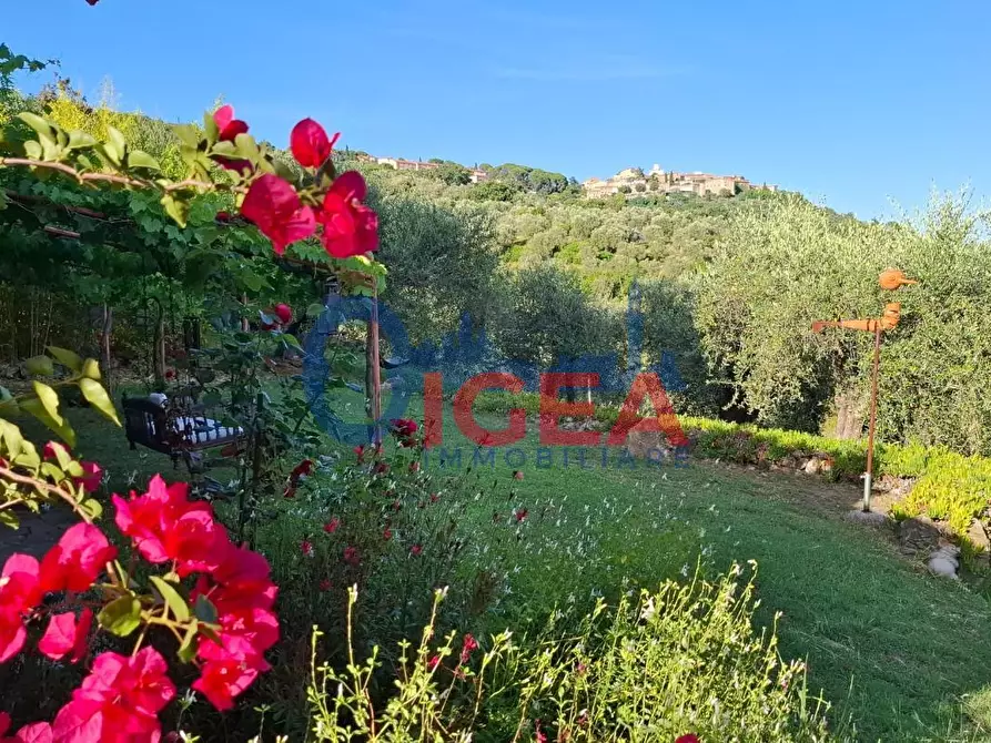 Immagine 3 di Rustico / casale in vendita  a Gavorrano