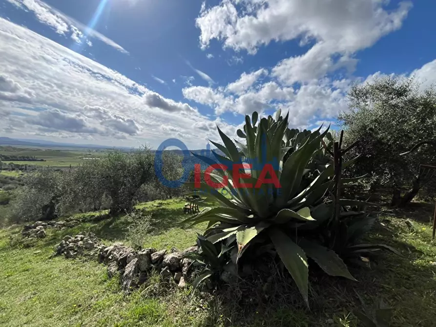 Immagine 18 di Rustico / casale in vendita  a Gavorrano