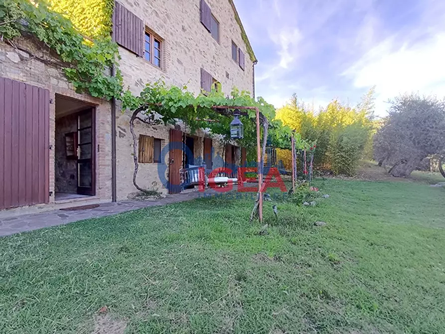 Immagine 53 di Rustico / casale in vendita  a Gavorrano