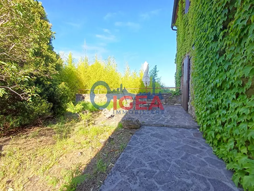 Immagine 59 di Rustico / casale in vendita  a Gavorrano