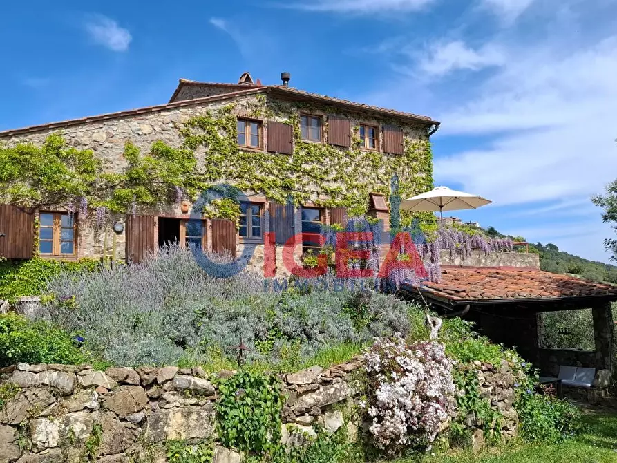 Immagine 62 di Rustico / casale in vendita  a Gavorrano