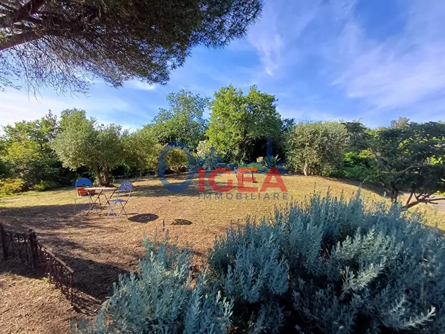 Immagine 56 di Rustico / casale in vendita  a Gavorrano