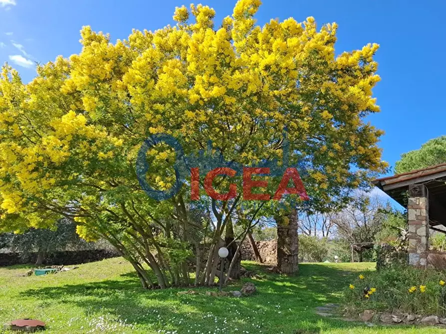 Immagine 60 di Rustico / casale in vendita  a Gavorrano