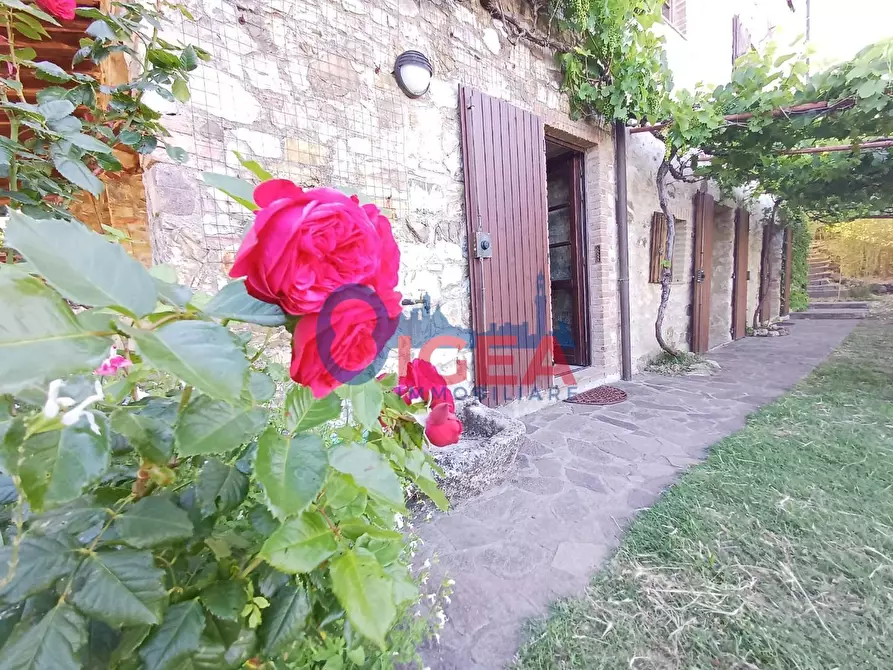 Immagine 34 di Rustico / casale in vendita  a Gavorrano