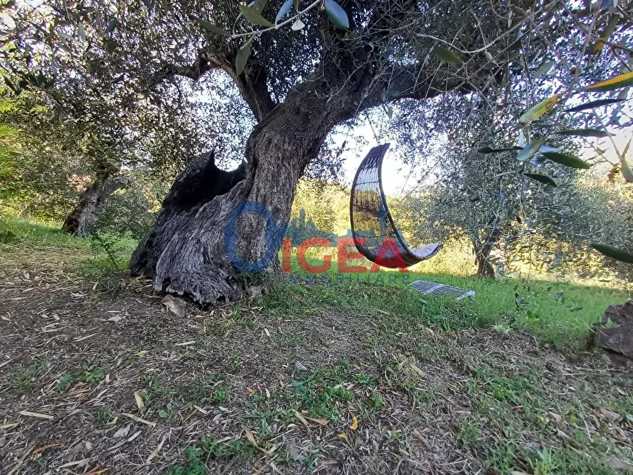 Immagine 42 di Rustico / casale in vendita  a Gavorrano