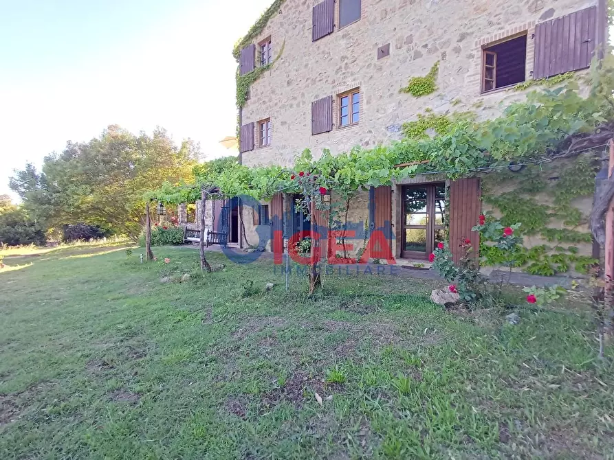Immagine 41 di Rustico / casale in vendita  a Gavorrano