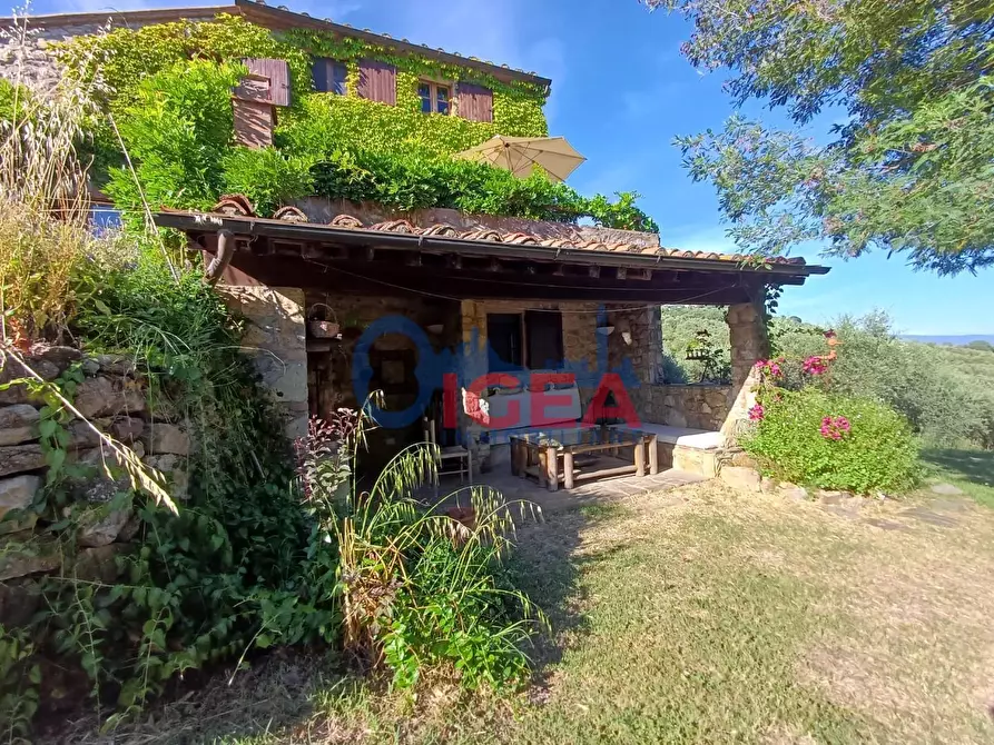 Immagine 50 di Rustico / casale in vendita  a Gavorrano